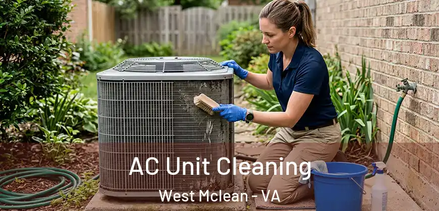  AC Unit Cleaning West Mclean - VA